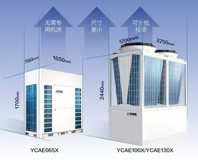 新华全媒+丨在林间树梢，感受不停歇的碳中和——探访安徽首单碳汇交易林场